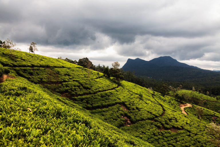 8 Waterfalls you must visit in Nuwara Eliya, Sri Lanka | TourHero