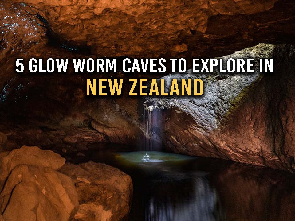 5-glow-worm-caves-you-must-explore-in-new-zealand-tourhero