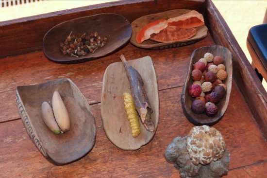 Australian Bush Tucker Guide 10 Traditional Aboriginal Food   Bush Tucker Australia 550x366 