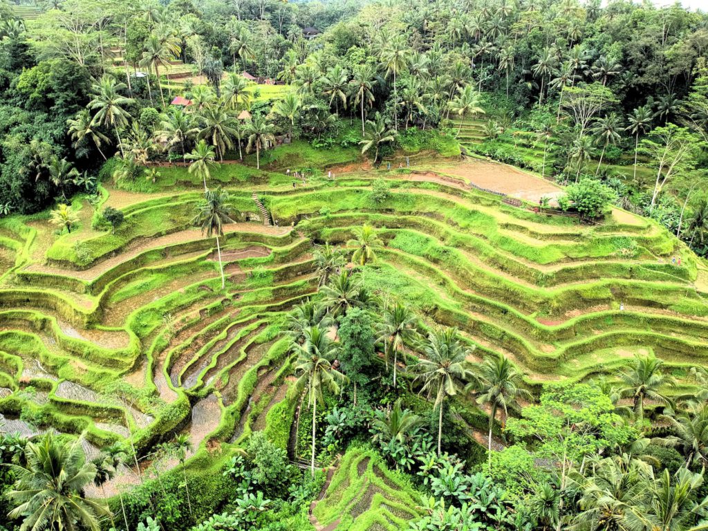 10 Cultural experiences in Bali - Meeting with local priest/astrologer