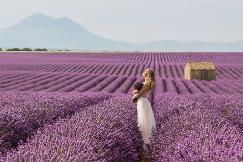 Woman in lavender fields, France