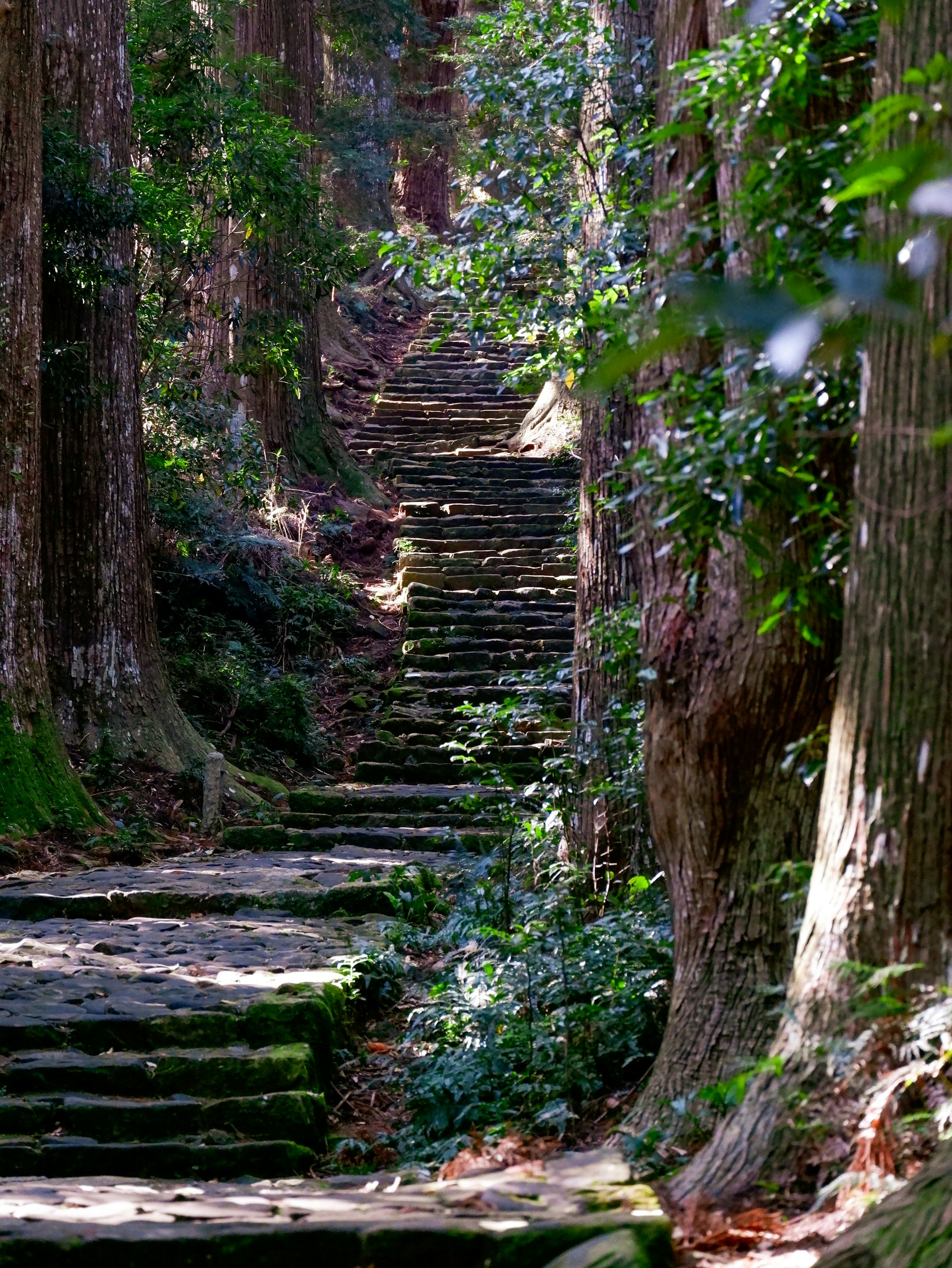 Kumano Kodo Nakahechi Trail Guide: Hiking the ancient pilgrimage route