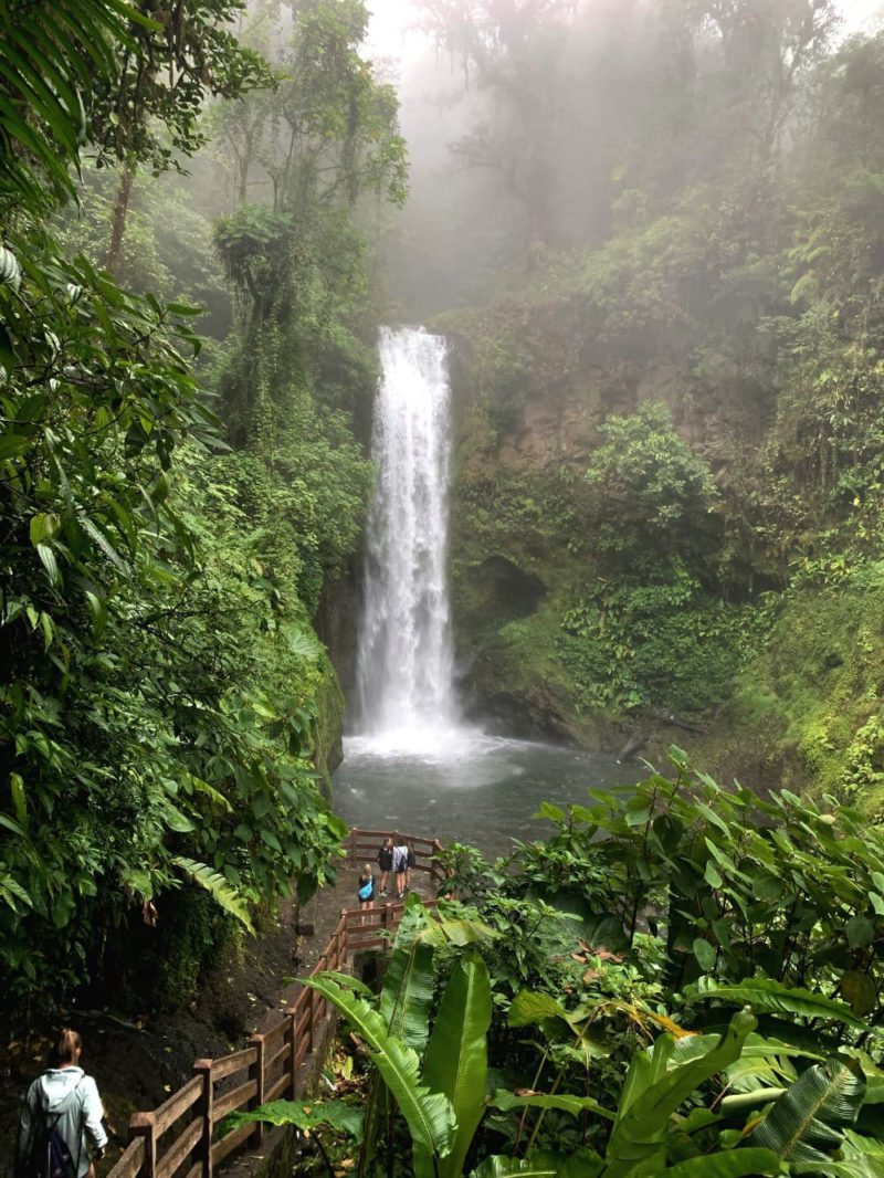 Costa Rica rainforest guide